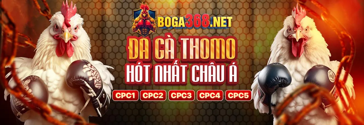 Đá gà trực tuyến Man88 với khuyến mãi hấp dẫn