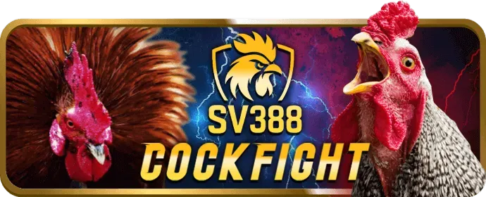 Chương Trình Hoàn Trả Thua Cược Man88